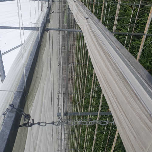 20250714_142948.jpg