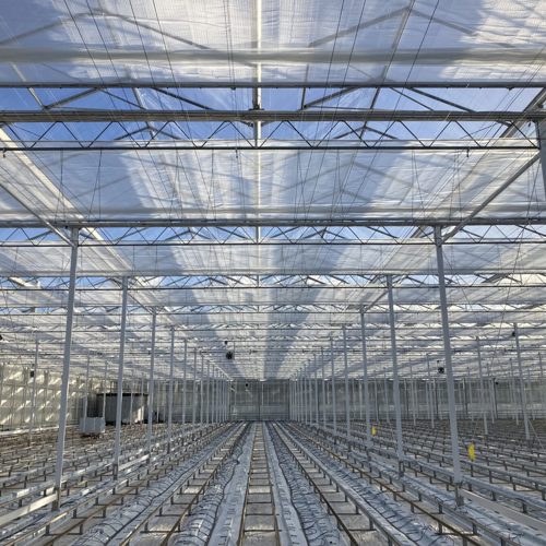 Geurt Solleveld 2.jpg