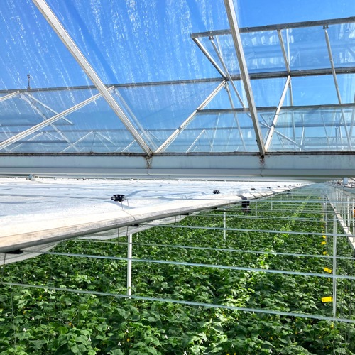 Klimrek Cavityscreen 8.JPG