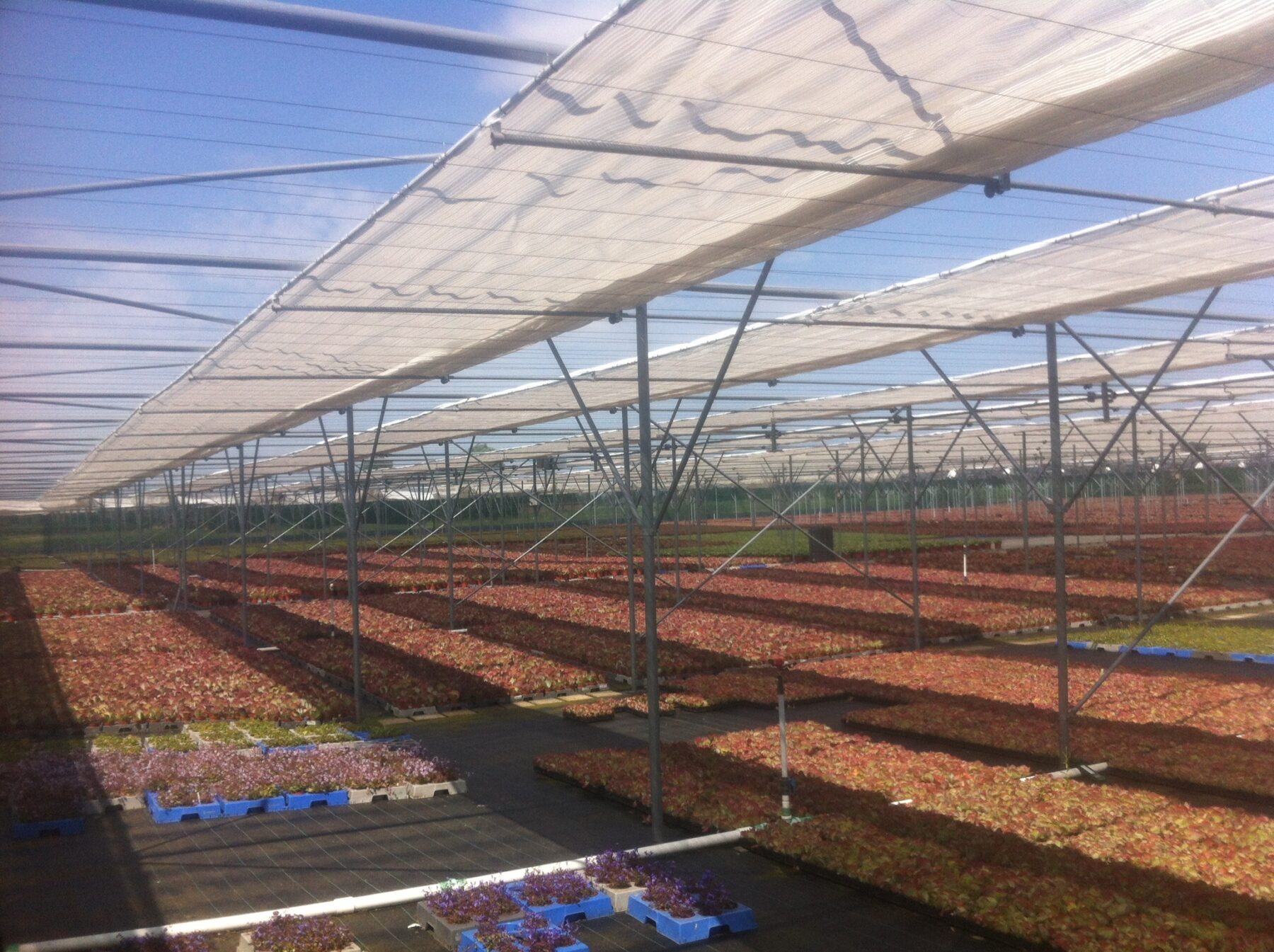 Buitenscherminstallatie boven kas voor bescherming tegen zoninstraling en oververhitting